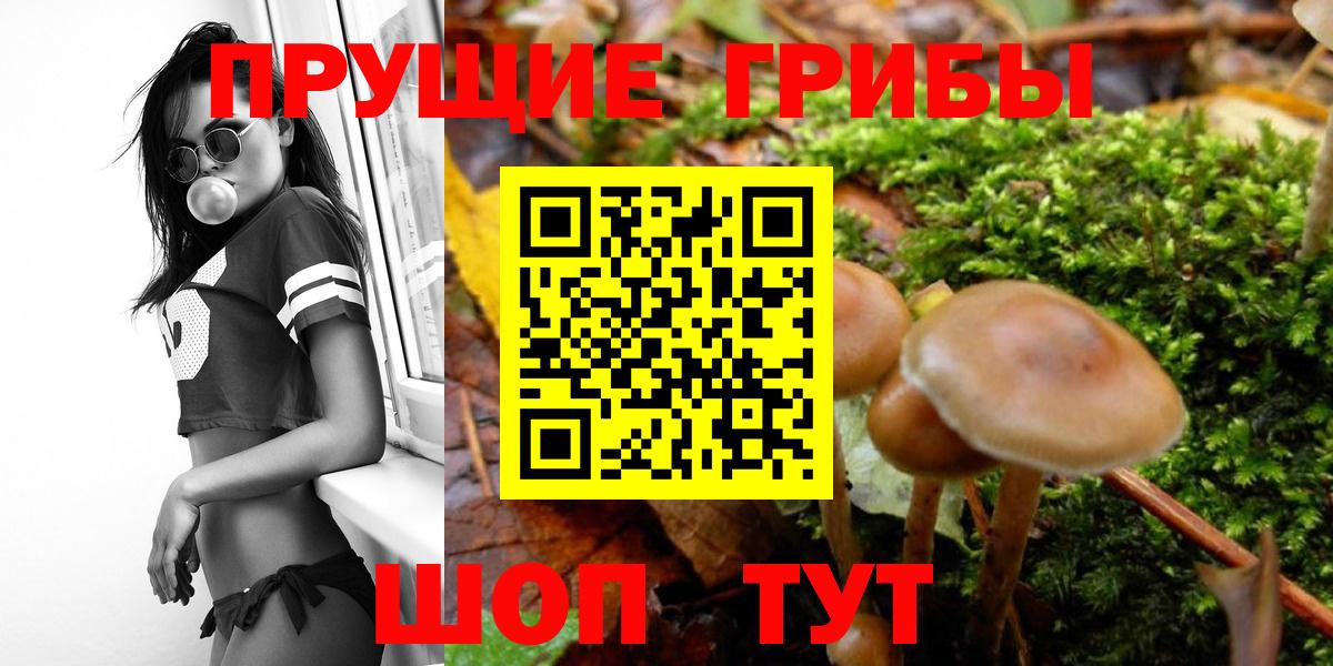 Южноуральск  Галлюциногенные грибы ЛСД  Вход с VPN 